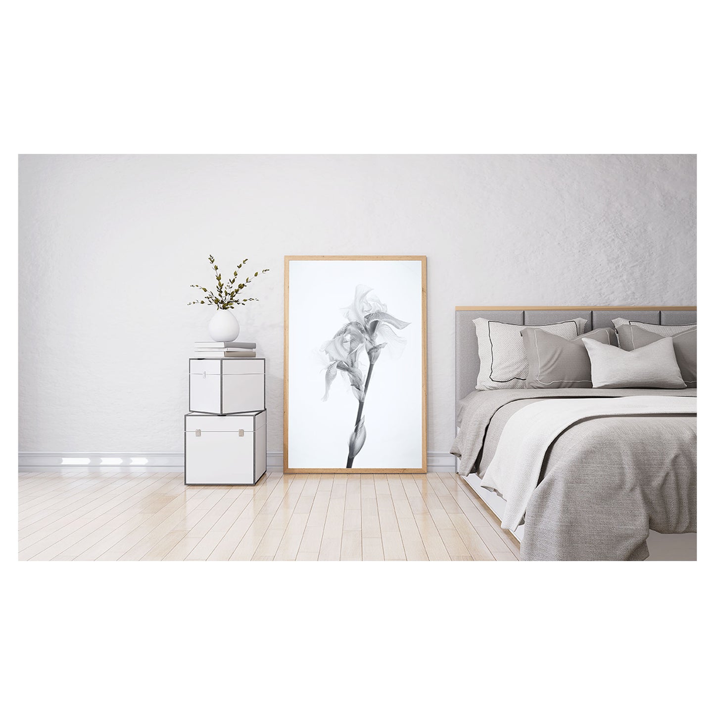 Irys - fotografia czarno-biała